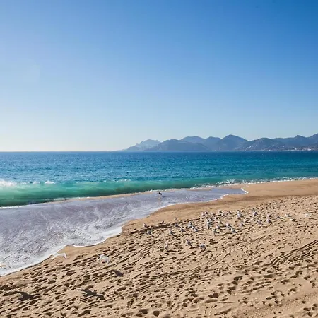 Apartment Du Midi Ap4145 Cannes, By Riviera Homes Cannes